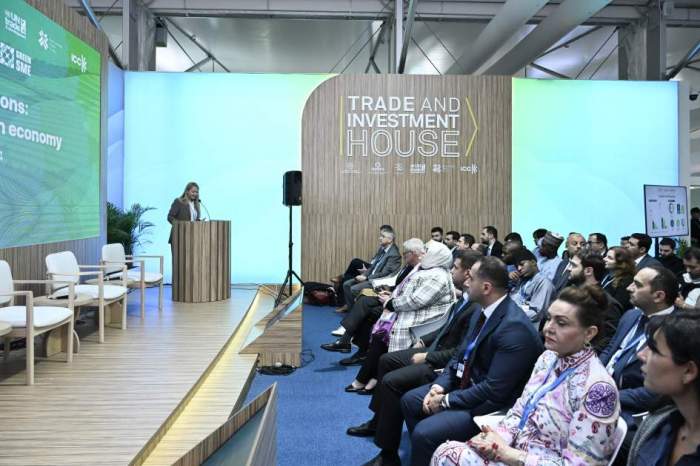 COP29 highlights role of SMEs in green economy 