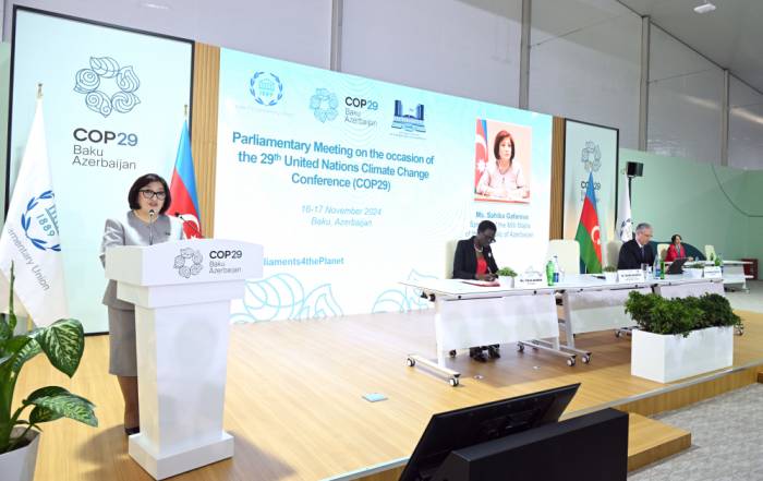 Parliament speaker denounces biased accusations against Azerbaijan over COP29