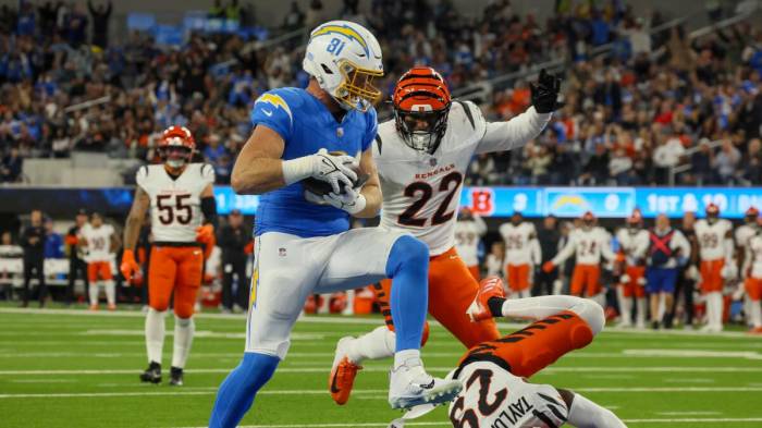 NFL: Bengals spark playoff hopes after win over Chargers