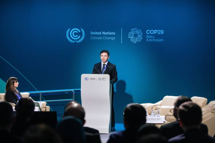 Baku Transparency Platform to assist countries in preparing climate action reports, official says