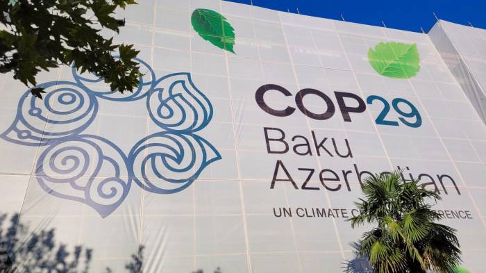 Climate finance - key focus at COP29