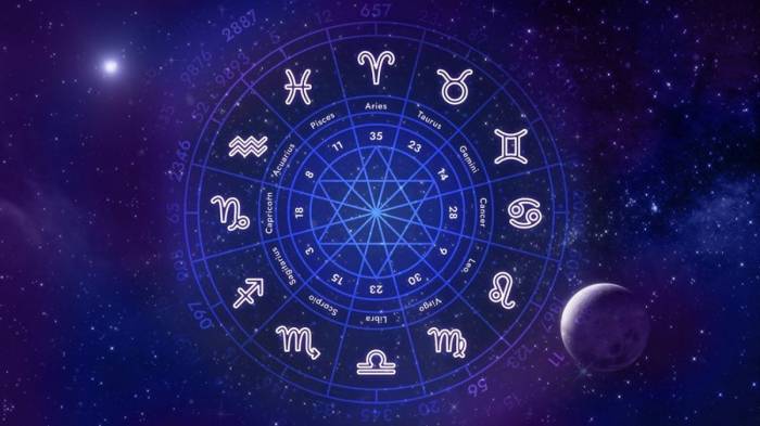 Horoscope: Astrological prediction November 25, 2024 