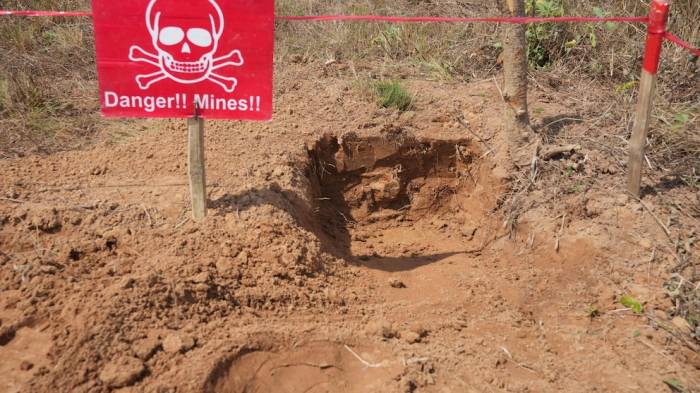 UN chief and pope urge nations to end use of antipersonnel land mines 