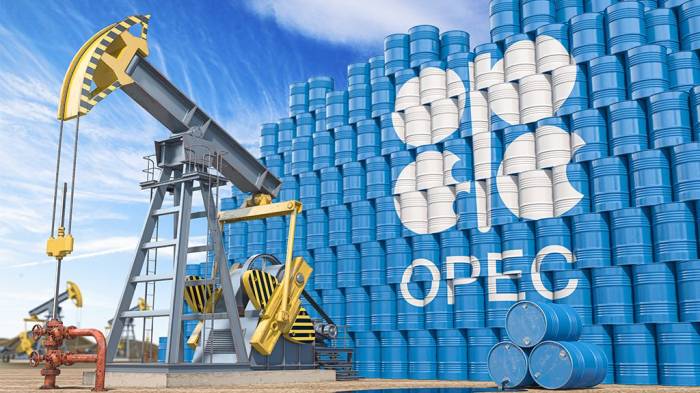  Oil market awaits decisions: What did OPEC+ leaders discuss? 