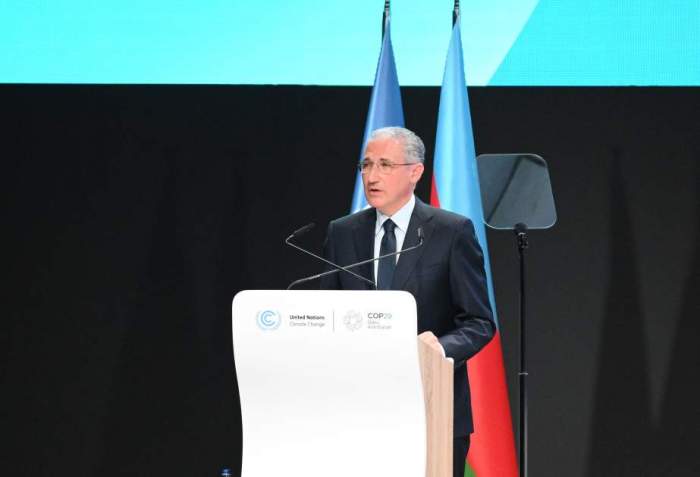 COP29 president calls for urgent action on climate challenges