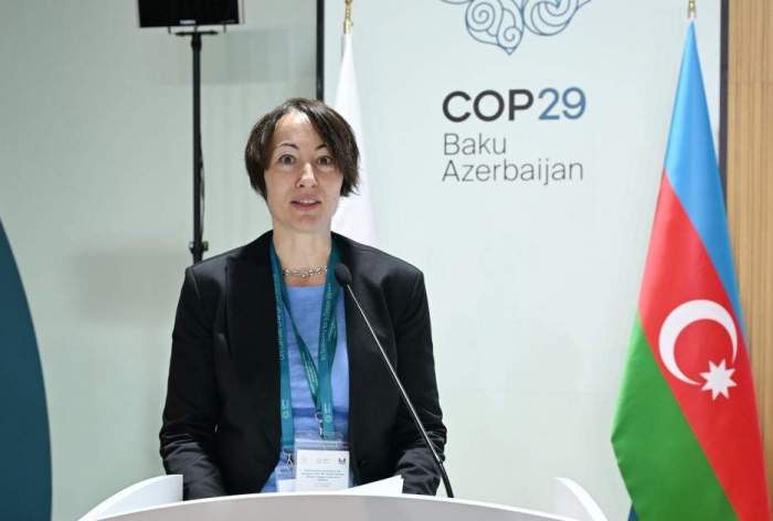 News about - Parliamentary Meeting held in Baku within the COP29 underway - PHOTO