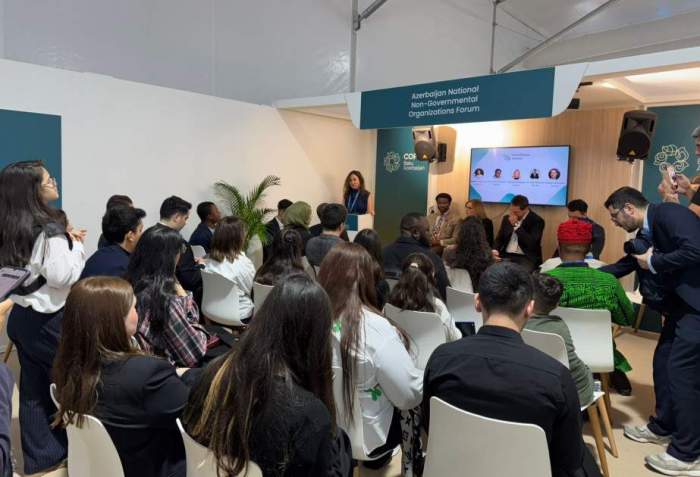 News about - Parliamentary Meeting held in Baku within the COP29 underway - PHOTO