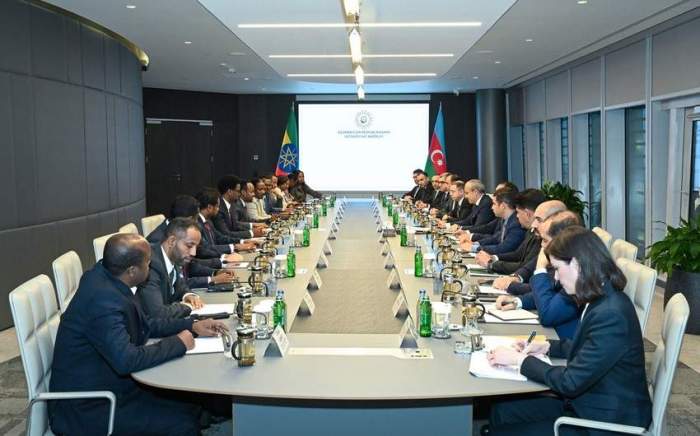 Azerbaijan and Ethiopia discuss ways to strengthen economic cooperation 