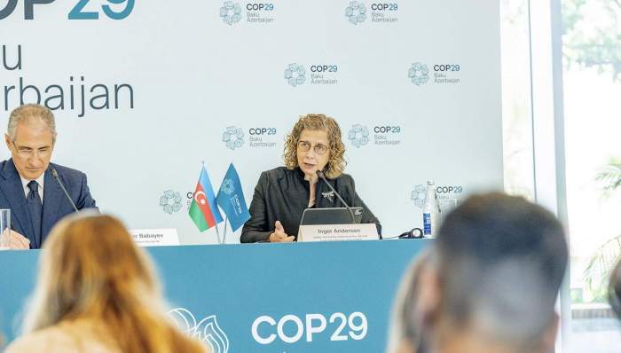 COP29: UNEP chief urges global action to cut methane emissions, tackle food waste