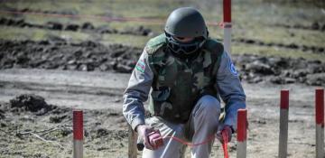 Azerbaijan defuses nearly 240 landmines in liberated areas over past week