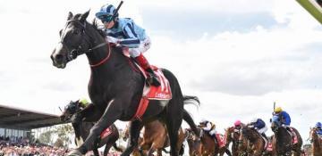 Melbourne Cup 2024 – field, odds, horse previews, tips, speed map and $100 betting strategy 