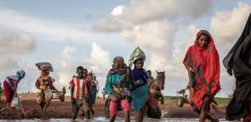 UN refugee chief urges urgent global support as forced displacement hits 123 million