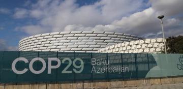 COP29 adopts new UN guidelines for global carbon credit trading 