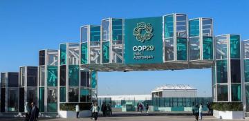  Why did Scholz cancel his COP29 trip: What’s behind Germany’s political crisis? 