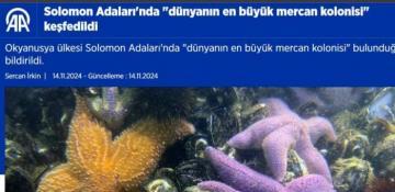 World's largest coral discovery revealed at COP29 