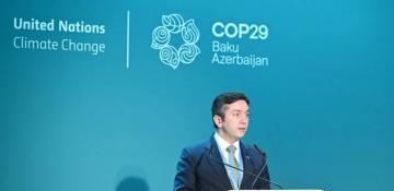 COP29 lead negotiator highlights importance of climate finance in global transition to low-emission future