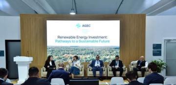COP29: Event held on renewable energy investment 