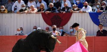 France's Senate votes down bill to ban children from attending bullfights
