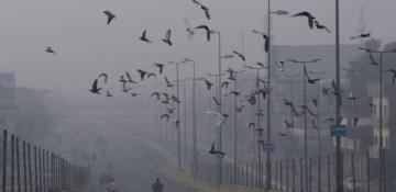 Pakistan prolongs school closures in smog-blanketed Punjab cities 