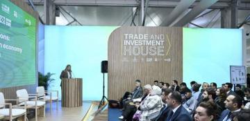 COP29 highlights role of SMEs in green economy 