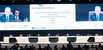 COP29 moves forward with non-market approaches under Paris Agreement