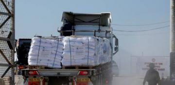 Nearly 100 food aid trucks violently looted in Gaza, UN agencies say 