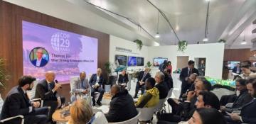 COP29 explores carbon credit market’s role in decarbonizing power grids