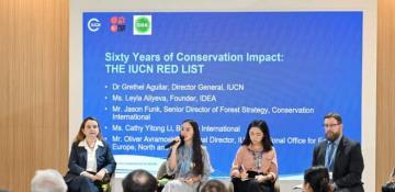 Leyla Aliyeva joins COP29 panel on rare species conservation 
