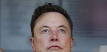 Tesla soars as Musk's Trump bet seen reaping rewards 