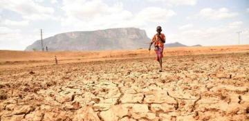 4 Kenyan counties at alert drought phase with risk of starvation