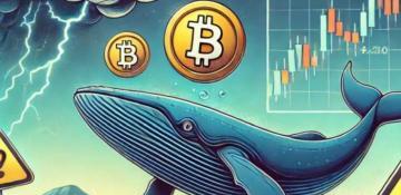 Bitcoin price on the rise: Whale accumulation points gains