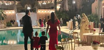 Elon Musk's father suggests having babies should be more like breeding horses 