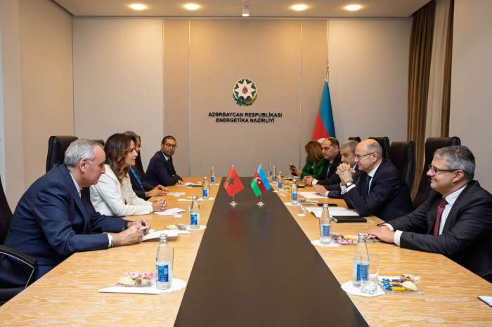 Azerbaijan discusses cooperation with Moldova and Morocco in energy sector