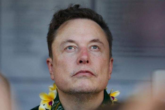Tesla soars as Musk's Trump bet seen reaping rewards 