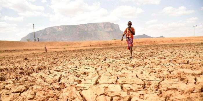 4 Kenyan counties at alert drought phase with risk of starvation