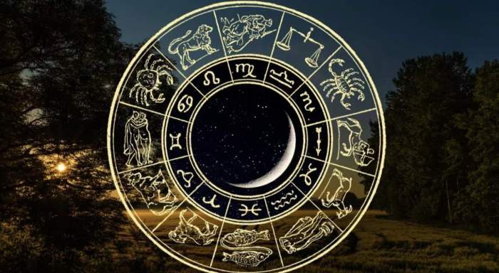 Daily horoscope for November 27, 2024