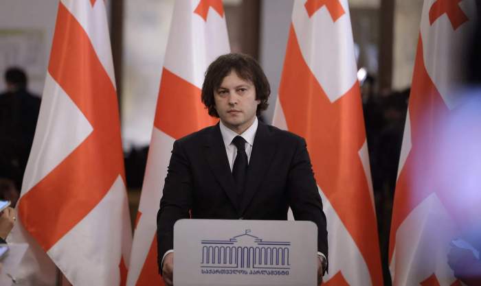 Georgia halts its EU accession bid 