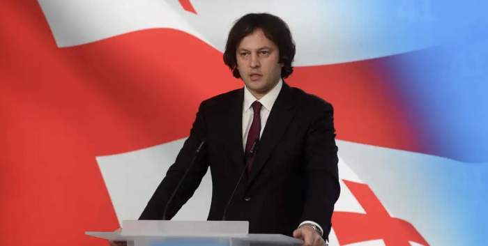 Thousands protest in Georgia after PM halts EU entry bid 