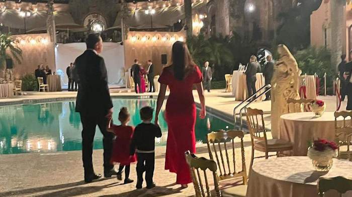 Elon Musk's father suggests having babies should be more like breeding horses 