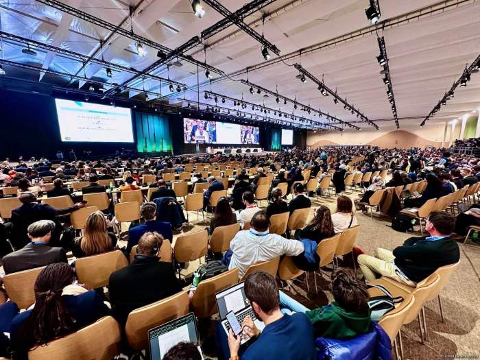 COP29 adopts resolution thanking Azerbaijan for exceptional hosting 