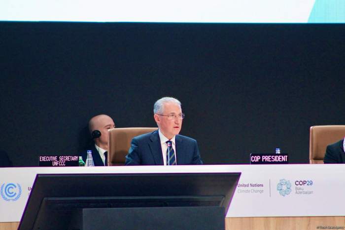 None of us want to leave Baku without good outcome on our key deliverable - COP29 president 