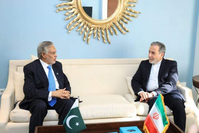 Top diplomats of Iran and Pakistan mull regional issues in Cairo 