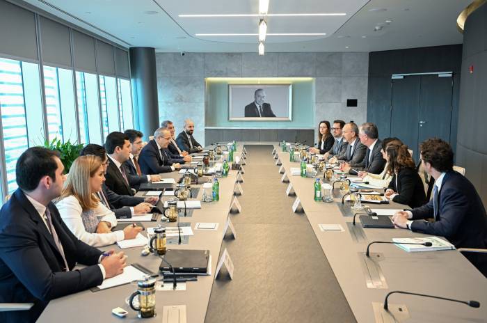 Azerbaijan, OECD discuss implementation of joint projects 