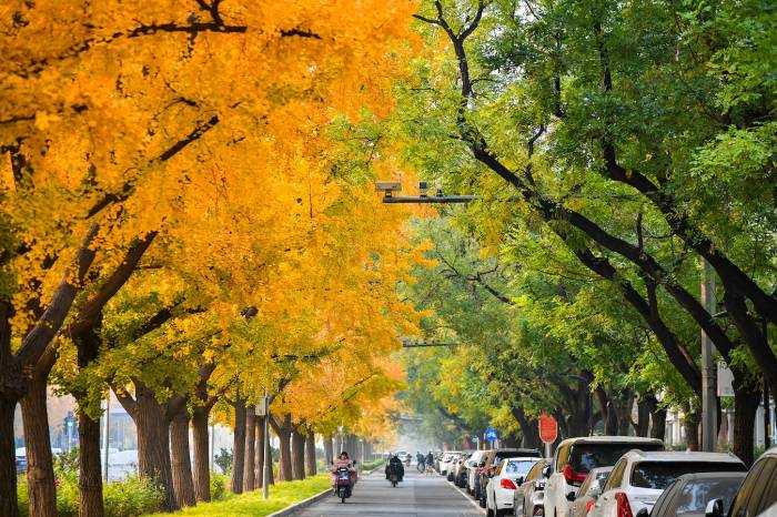 China experiences hottest autumn on record 