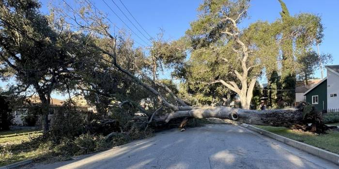 US state of California braces for dangerous Santa Ana winds; red flag warning issued
