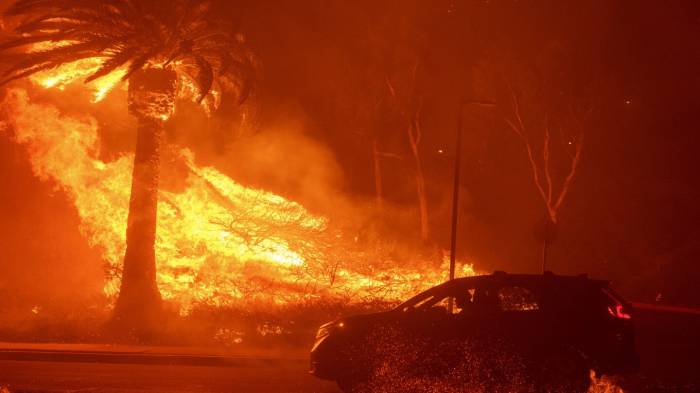 US: Santa Ana winds fuel rapid spread of Malibu wildfire