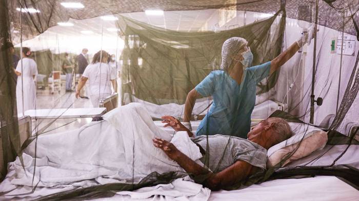 Dengue fever cases surge to record high in Central and South America