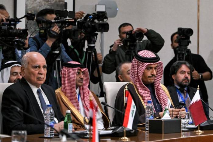 Eight Arab nations pledge support for Syria's peaceful transition 