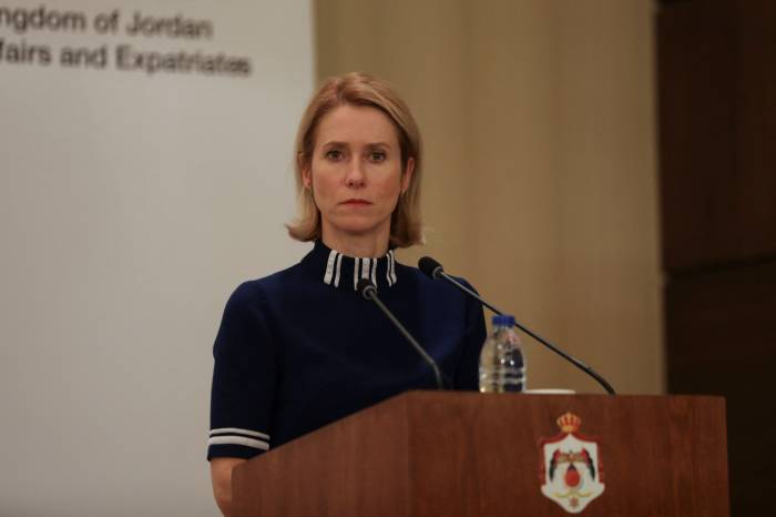 EU should ease Syria sanctions for 'positive steps', says diplomat Kallas 