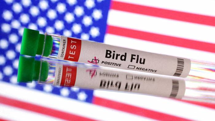 United States confirms first severe case of H5N1 Bird Flu in 